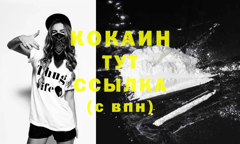 COCAIN Fish Scale Ачинск