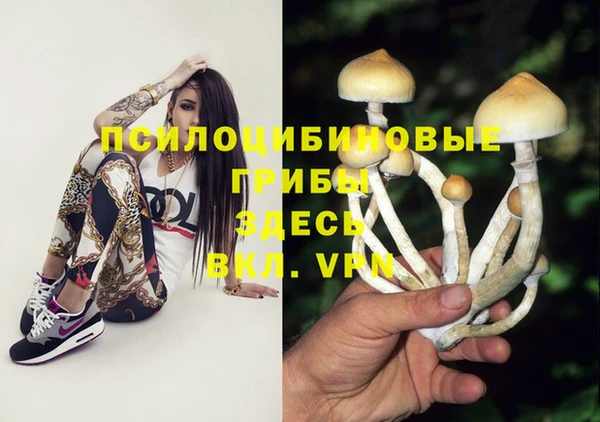 таблы Няндома