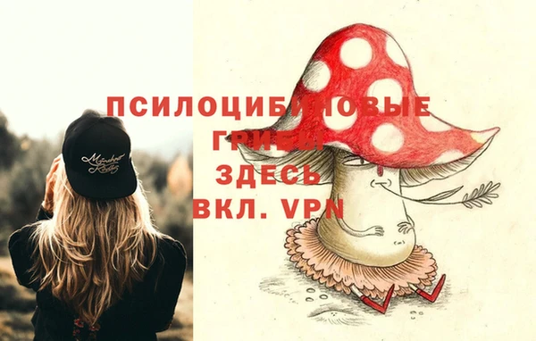 спайс Новодвинск