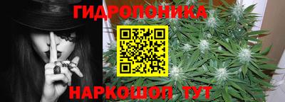 гидра Аргун