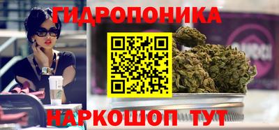 стафф Аргун